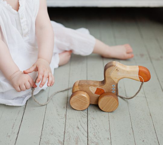 Dodo is an extinct, but we have our own handmade organic wooden toy Dodo. Pull wooden toy is quality crafted. Materials we use are natural and safe. 